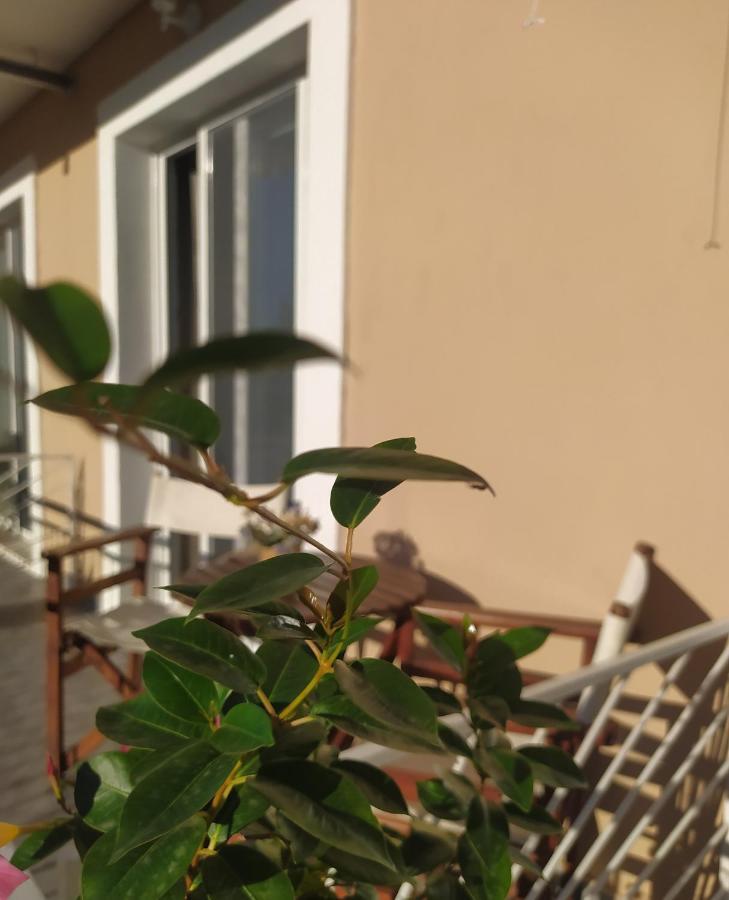 Apartmani Vico แฮร์เซ็ก-โนวี ภายนอก รูปภาพ